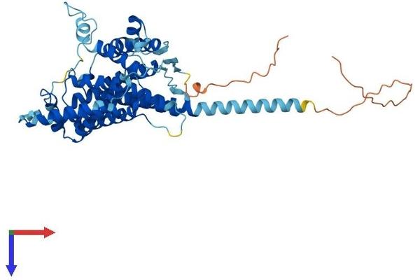 PTDSS2 Protein (AA 1-473) (His tag)