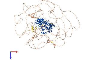 TTBK2 Protein (AA 1-1243) (His tag)