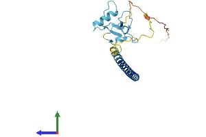 Protein Structure (PS) image for THAP Domain Containing, Apoptosis Associated Protein 1 (THAP1) (AA 1-210) protein (His tag) (ABIN7559348)