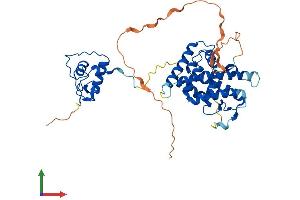 Protein Structure (PS) image for Hepatocyte Nuclear Factor 4 gamma (HNF4G) (AA 1-408) protein (His tag) (ABIN7556292)
