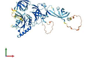 AlphaFold protein structure predicition of Mouse Recombinant Eefsec Protein, UniprotID Q9JHW4 (EEFSEC Protein (AA 1-583) (His tag))