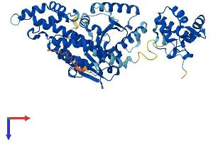 EHD1 Protein (AA 1-534) (His tag)