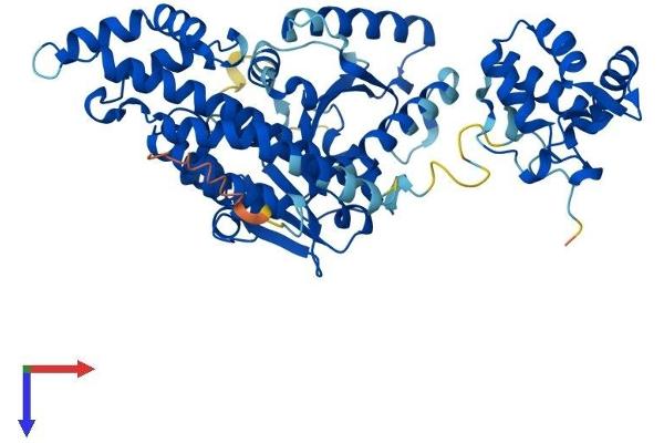EHD1 Protein (AA 1-534) (His tag)