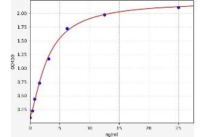 Caspase 4 ELISA Kit