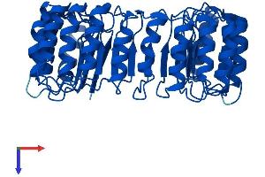 RNH1 Protein (AA 1-456) (His tag)