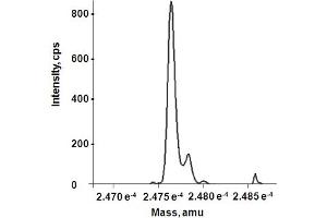 Reconstructed molecular weight from MS spectrum. (HMGB1 Protein)