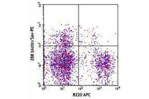 Flow Cytometry (FACS) image for anti-Mast/stem Cell Growth Factor Receptor (KIT) antibody (Biotin) (ABIN2660910) (KIT Antikörper  (Biotin))