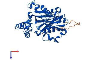 NUDT22 Protein (AA 1-308) (His tag)