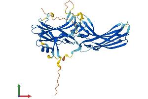 Protein Structure (PS) image for S-Antigen, Retina and Pineal Gland (Arrestin) (SAG) (AA 1-405) protein (His tag) (ABIN7552425)