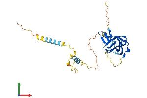 AlphaFold protein structure predicition of Human Recombinant NRIP3 Protein, UniprotID Q9NQ35