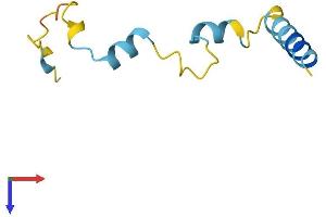 NUPR1 Protein (AA 1-80) (Fc Tag)