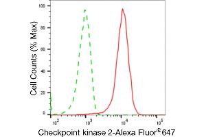 Flow cytometric analysis of Checkpoint kinase 2 expression in HepG2 cells using Checkpoint kinase 2 antibody (ABIN7798038), 1:2,000). (Rekombinanter CHEK2 Antikörper)