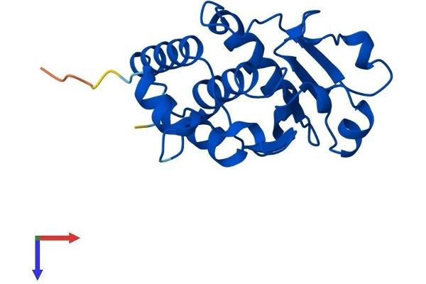 Dual Specificity Phosphatase 3 (DUSP3) (AA 1-185) protein (His tag)