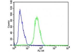 Flow cytometric analysis of SH-SY5Y cells using CDK5 antibody (green) compared to an isotype control of rabbit IgG (blue) (CDK5 Antikörper  (AA 225-260))