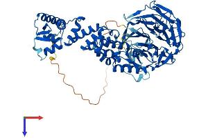KLHL20 Protein (AA 1-609) (His tag)