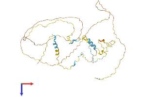 RCSD1 Protein (AA 1-412) (His tag)