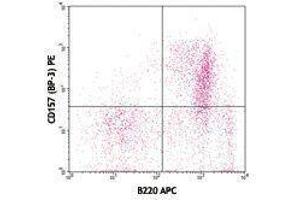 Flow Cytometry (FACS) image for anti-Bone Marrow Stromal Cell Antigen 1 (BST1) antibody (PE) (ABIN2662462) (BST1 Antikörper  (PE))
