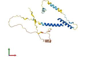 Protein Structure (PS) image for Heart and Neural Crest Derivatives Expressed 2 (HAND2) (AA 1-217) protein (His tag) (ABIN7557651)