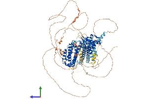 Protein Structure (PS) image for Regulatory Factor X 6 (RFX6) (AA 1-928) protein (His tag) (ABIN7555165)