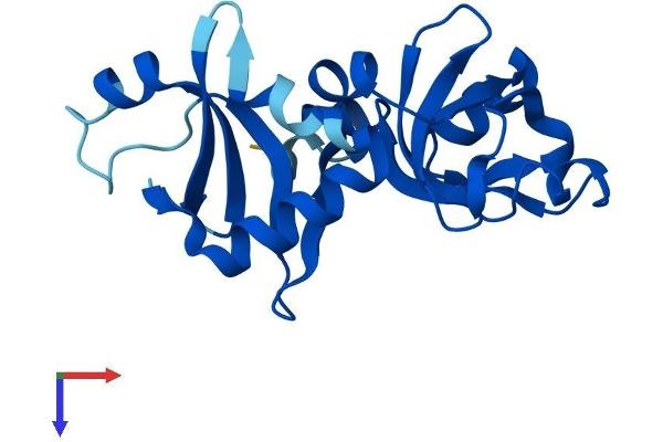 NIP7 Protein (AA 1-180) (His tag)