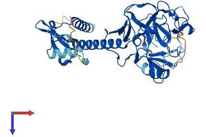 SUV39H2 Protein (AA 1-410) (His tag)