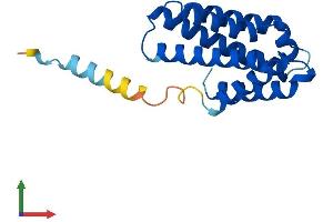 Protein Structure (PS) image for Tumor Necrosis Factor, alpha-Induced Protein 8-Like 2 (TNFAIP8L2) (AA 1-184) protein (His tag) (ABIN7561144)