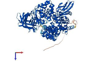 NPEPPS Protein (AA 1-920) (His tag)