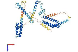 DNAJC28 Protein (AA 1-388) (His tag)