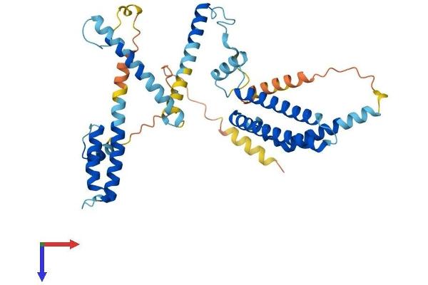 DNAJC28 Protein (AA 1-388) (His tag)