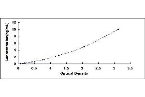 Typical standard curve (TOP2B ELISA Kit)