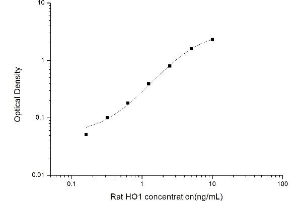 HMOX1 ELISA Kit