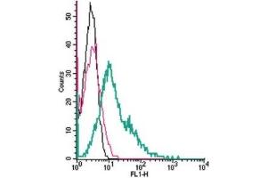 Flow Cytometry (FACS) image for anti-Solute Carrier Family 39 (Zinc Transporter), Member 1 (SLC39A1) (AA 5-20), (Extracellular) antibody (ABIN7043723)