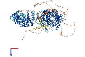 AGTPBP1 Protein (AA 1-1226) (His tag)