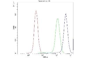 Flow Cytometry analysis of PC-3 cells using anti-Synaptotagmin 1 antibody (ABIN5692948).