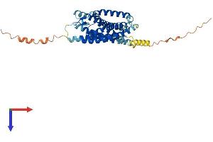 CysLTR1 Protein (AA 1-352) (His tag)