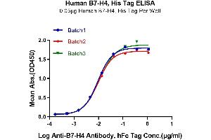 Immobilized Human B7-H4, His Tag at 0. (VTCN1 Protein (AA 29-258) (His-Avi Tag))