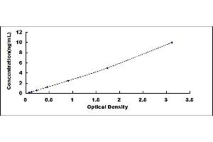 Typical standard curve