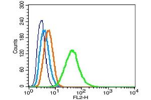 RSC96 cells probed with LAMR1 Polyclonal Antibody, Unconjugated  at 1:100 for 30 minutes followed by incubation with a conjugated secondary (PE Conjugated) (green) for 30 minutes compared to control cells (blue), secondary only (light blue) and isotype control (orange). (LAMR1CT (AA 201-295) Antikörper)