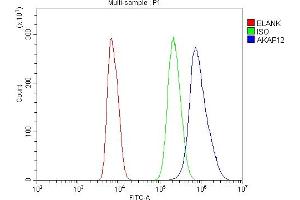 Flow Cytometry analysis of NRK cells using anti-AKAP12 antibody (ABIN7601563).
