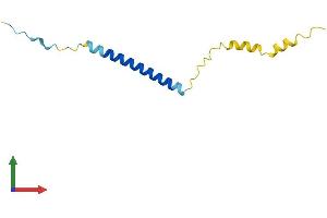 Protein Structure (PS) image for Glycophorin C (GYPC) (AA 1-95) protein (His tag) (ABIN7558170)