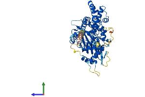 Protein Structure (PS) image for Inositol 1,3,4,5,6-Pentakisphosphate 2-Kinase (IPPK) (AA 1-489) protein (His tag) (ABIN7557981)