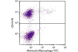 Chicken peripheral blood monocytes were stained with Mouse Anti-Chicken Monocyte/Macrophage-FITC. (Macrophage/Monocyte Antikörper (FITC))