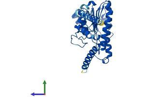 Protein Structure (PS) image for Hydroxysteroid (17-Beta) Dehydrogenase 12 (HSD17B12) (AA 1-312) protein (His tag) (ABIN7553699)