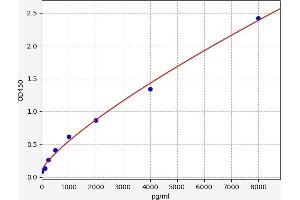 CKLF ELISA Kit