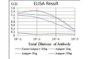 Image no. 3 for anti-Microtubule-Associated Protein 2 (MAP2) antibody (ABIN1491246) (MAP2 Antikörper)