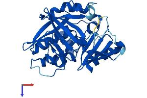 SLC38A4 Protein (AA 1-290) (His tag)