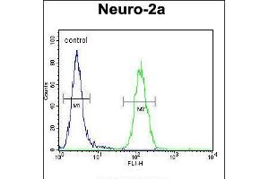 Flow cytometric analysis of Neuro-2a cells (right histogram) compared to a negative control cell (left histogram). (LCN10 Antikörper  (AA 94-123))