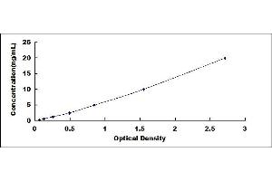 BCL11A ELISA Kit