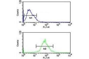 Flow Cytometry (FACS) image for anti-Absent in Melanoma 2 (AIM2) (AA 1-50) antibody (ABIN3029828)