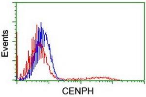 HEK293T cells transfected with either RC204531 overexpress plasmid (Red) or empty vector control plasmid (Blue) were immunostained by anti-CENPH antibody (ABIN2455250), and then analyzed by flow cytometry.